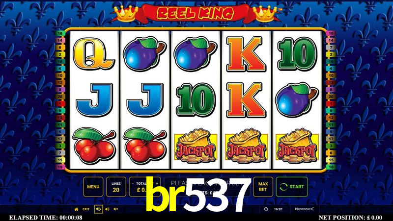 Descubra a Essência do br537: Nossa História e Compromissos